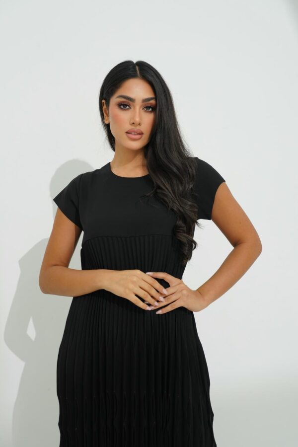 IMG_0935 Pleated Crepe Dress with Crystal Stones